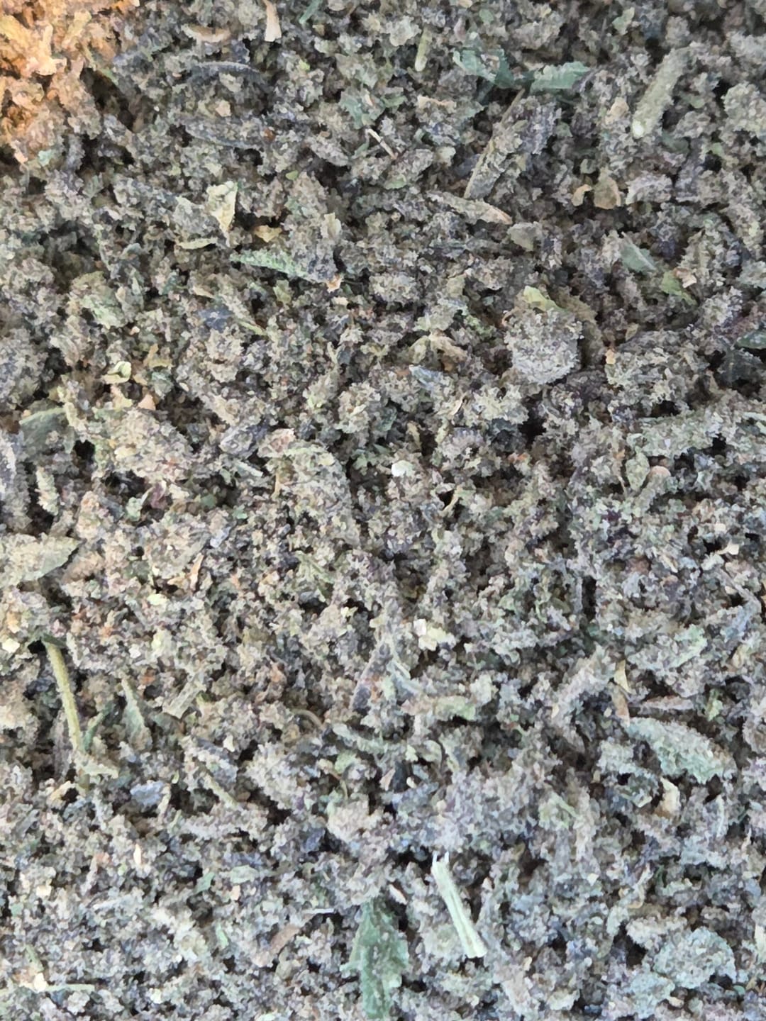 Customer photo review of (Buy 1 Get 1 Free) No1. LA Pop Rock Shake 1oz