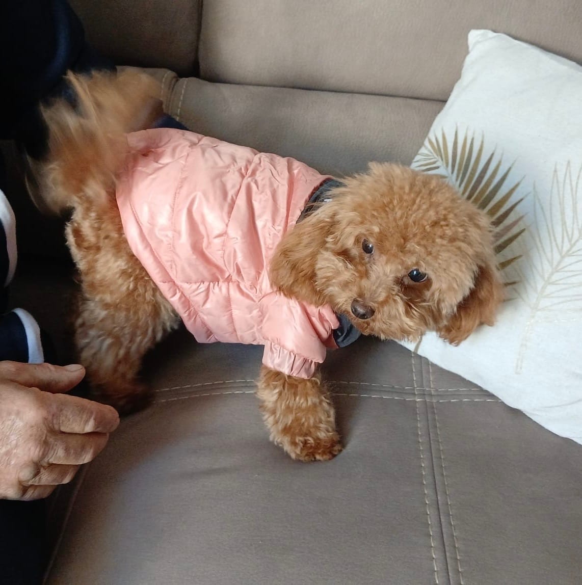 Customer photo review of The Dog Face Piumino