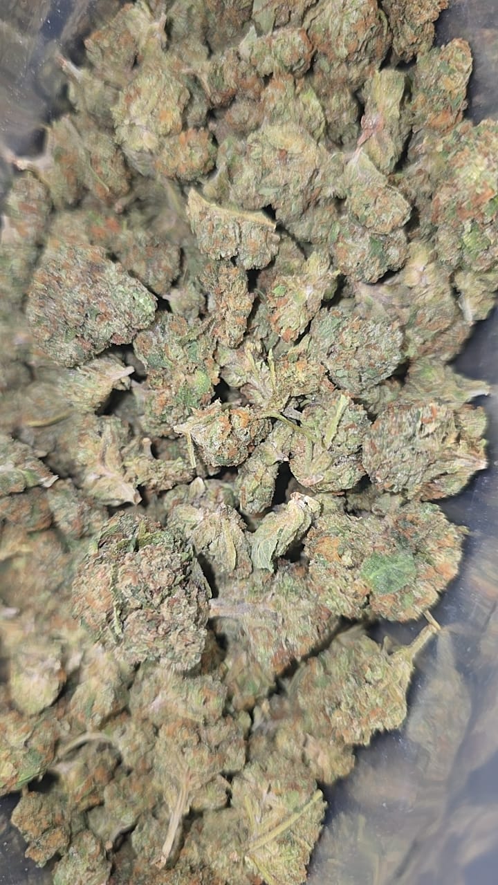 Customer photo review of Cheap THCA Smalls Quarter Pound
