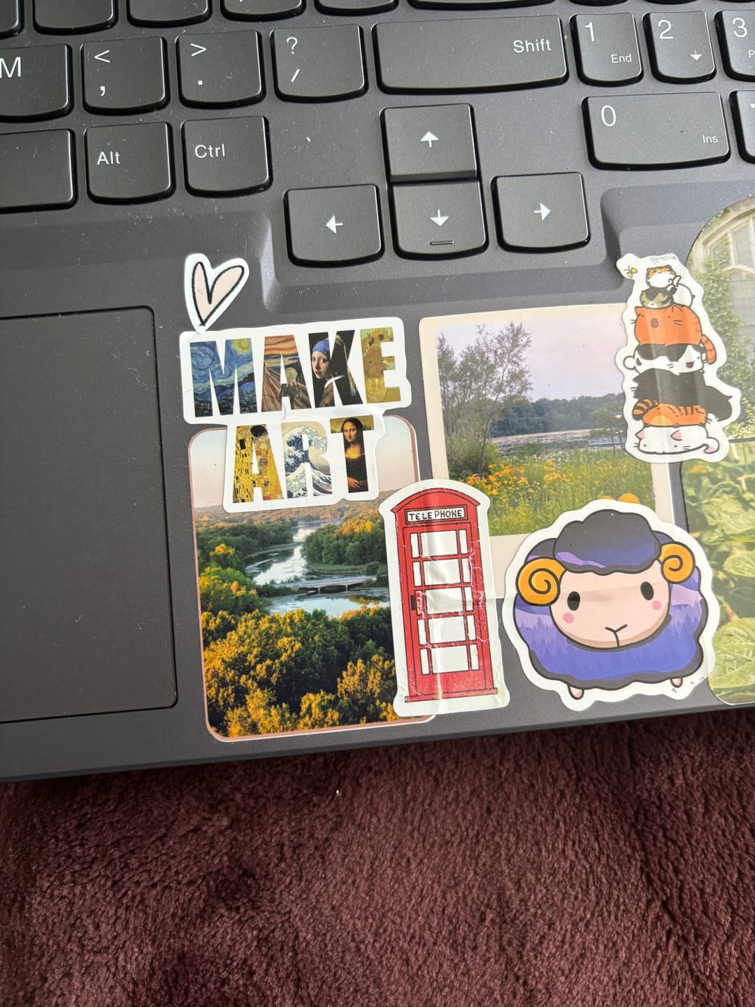 Customer photo review of Birds Eye View Sticker