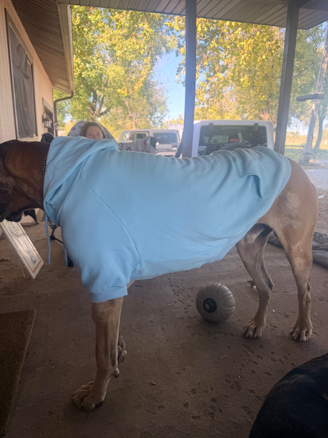 Customer photo review of Essential Dog Hoodies