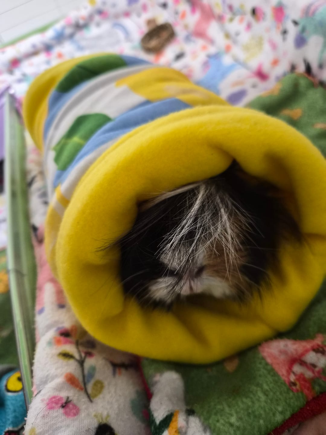 Customer photo review of Guinea Pig Tunnel | Amalfi Collection
