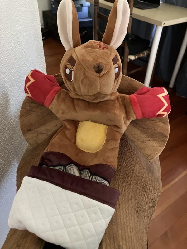 Customer photo review of Boxing Buddies Cat Toy