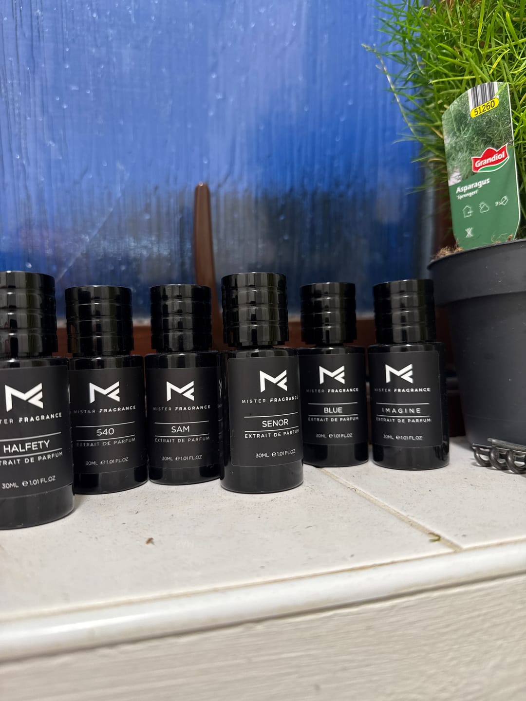 Customer photo review of Senor
