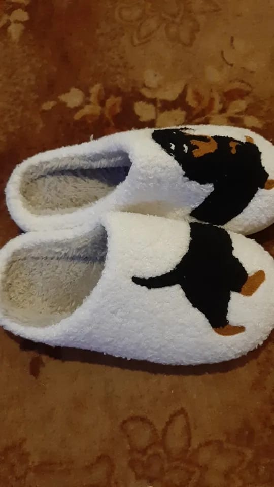 Customer photo review of Women's Dachshund Plush House Slippers, Warm Indoor Slides