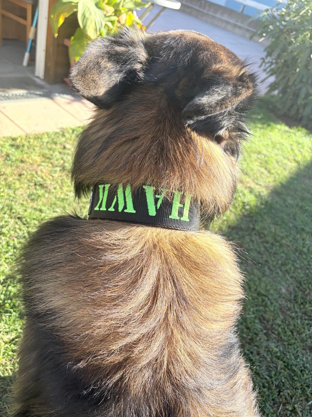 Customer photo review of Extreme Buckle med namn