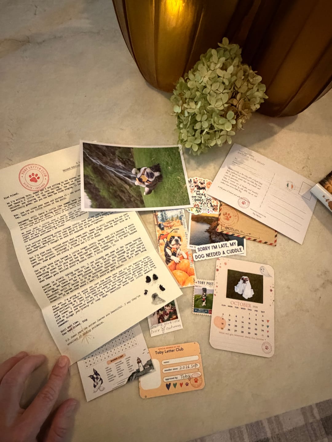 Customer photo review of 💌 Toby's Letter Club