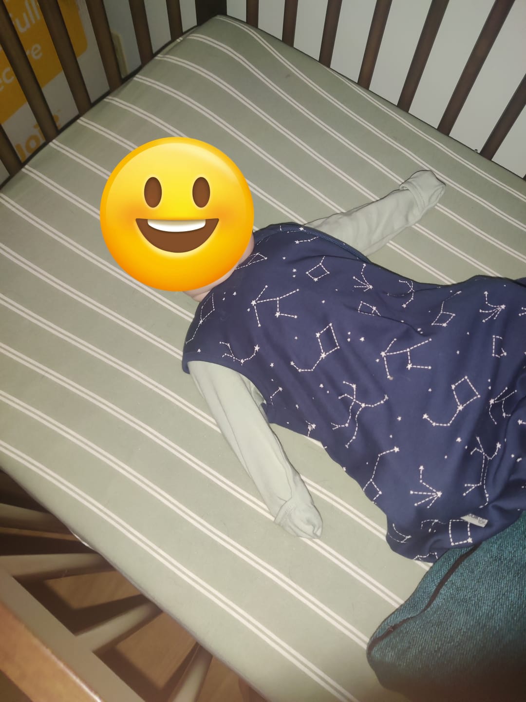 Customer photo review of 4 Season® Classic Baby Sleeping Bag, Merino Wool & Organic Cotton, Night Sky™