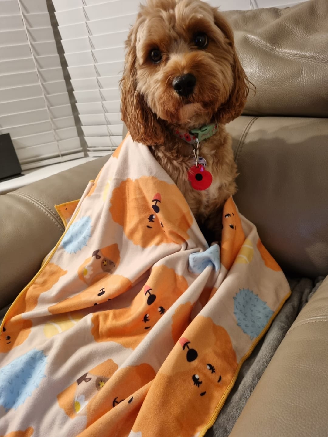 Customer photo review of Quick Drying Towel - Curly Club