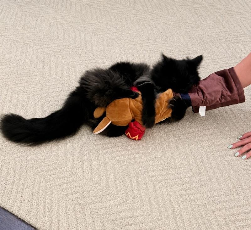 Customer photo review of Boxing Buddies Cat Toy