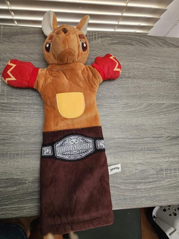 Customer photo review of Boxing Buddies Cat Toy