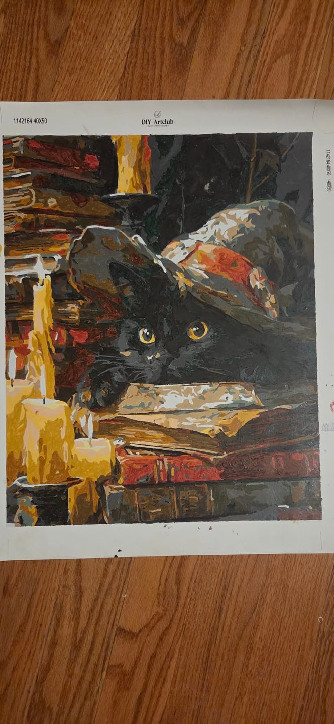 Customer photo review of Spells keeper | Paint by Number