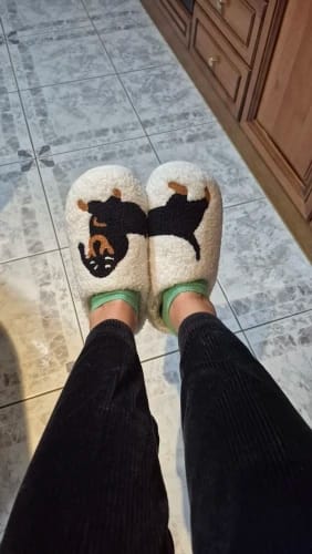 Customer photo review of Women's Dachshund Plush House Slippers, Warm Indoor Slides