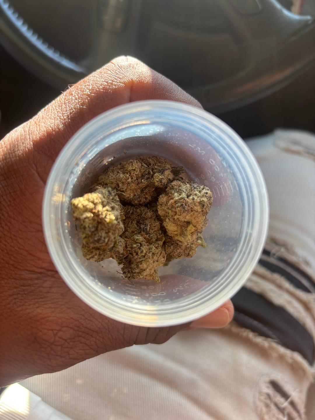 Customer photo review of Exotic Indoor Express THCA Flower (7 Grams)