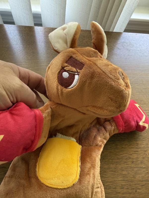 Customer photo review of Boxing Buddies Cat Toy