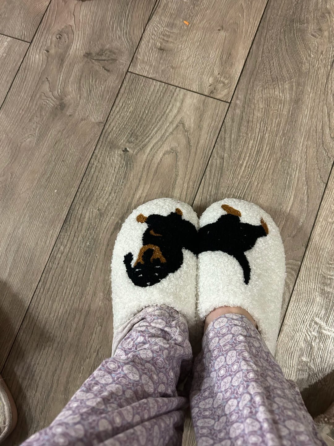 Customer photo review of Women's Dachshund Plush House Slippers, Warm Indoor Slides