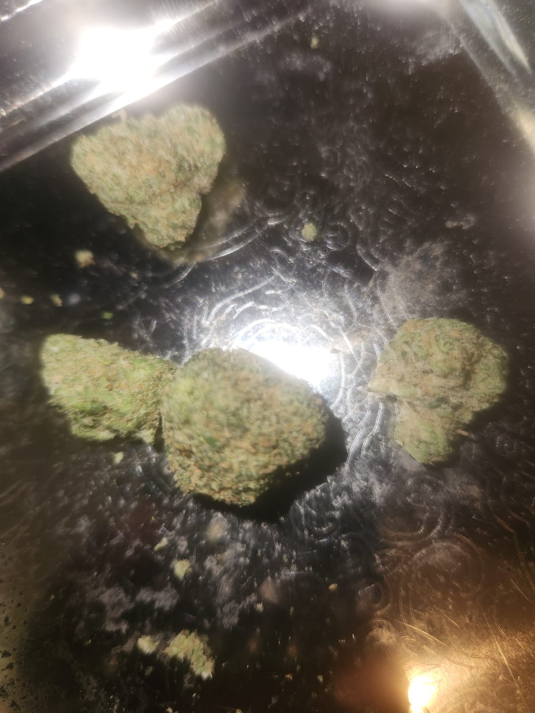 Customer photo review of Biscotti THCA Flower (Budget)