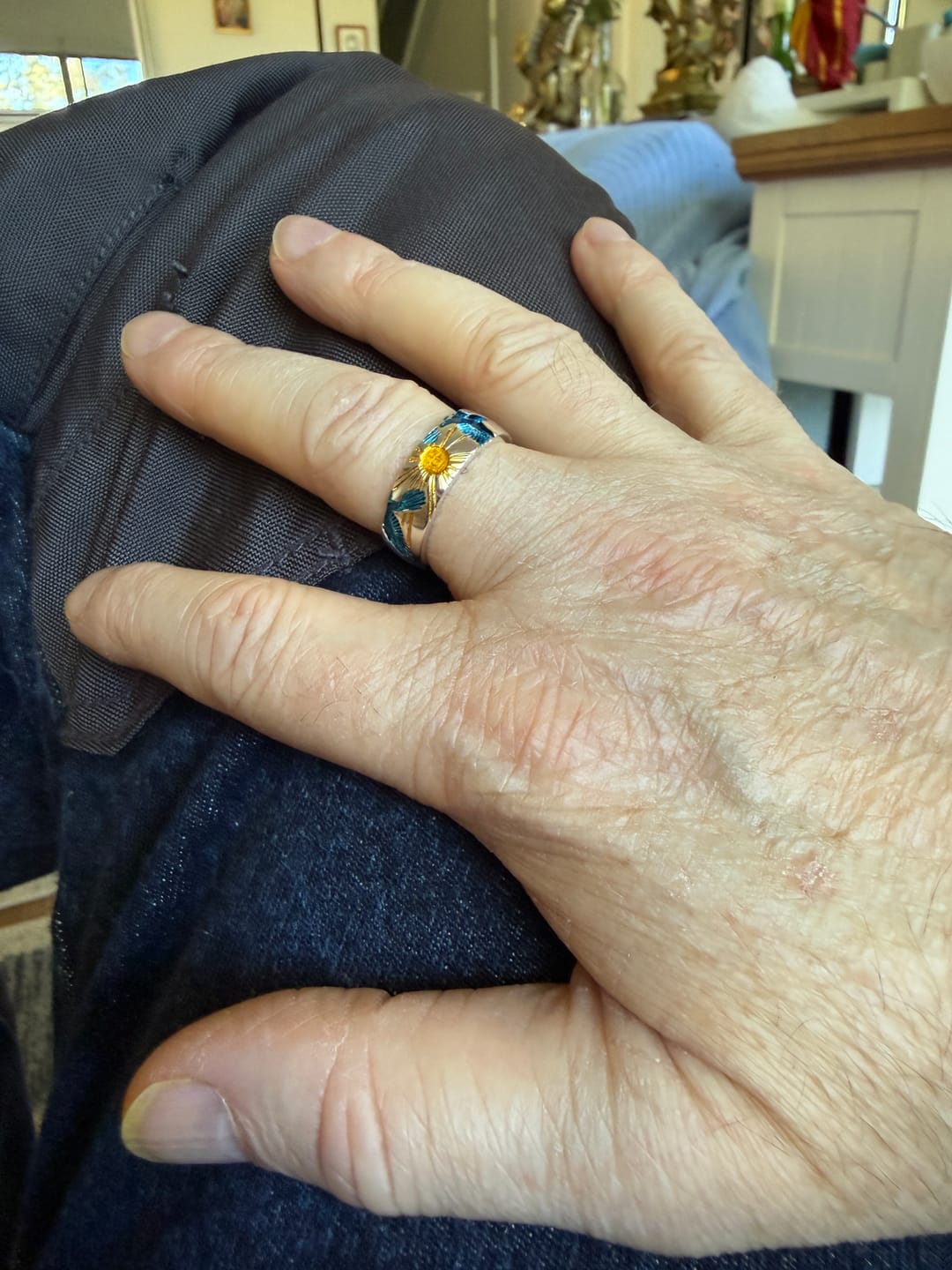 Customer photo review of CERULEAN FLIGHT