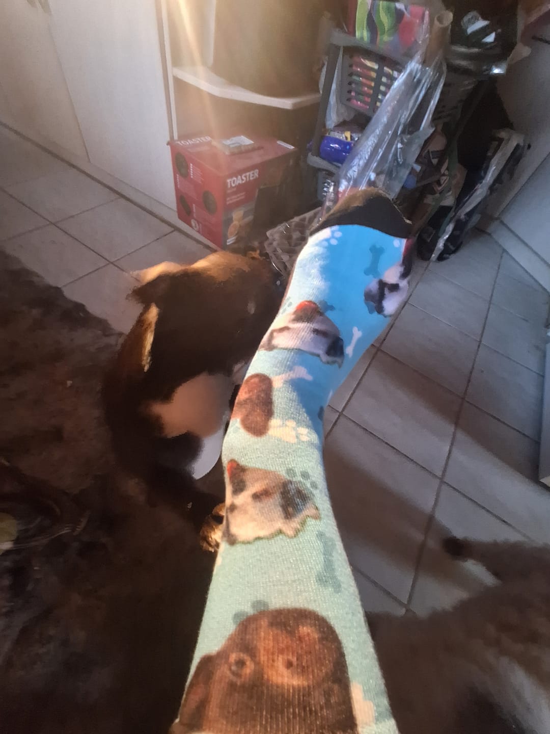 Customer photo review of Personalisierte Socken - Dein Foto