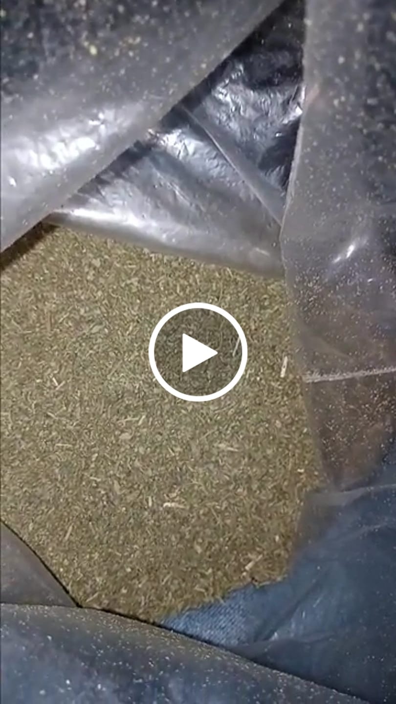 Customer video review of Gary Payton Shake Wholesale