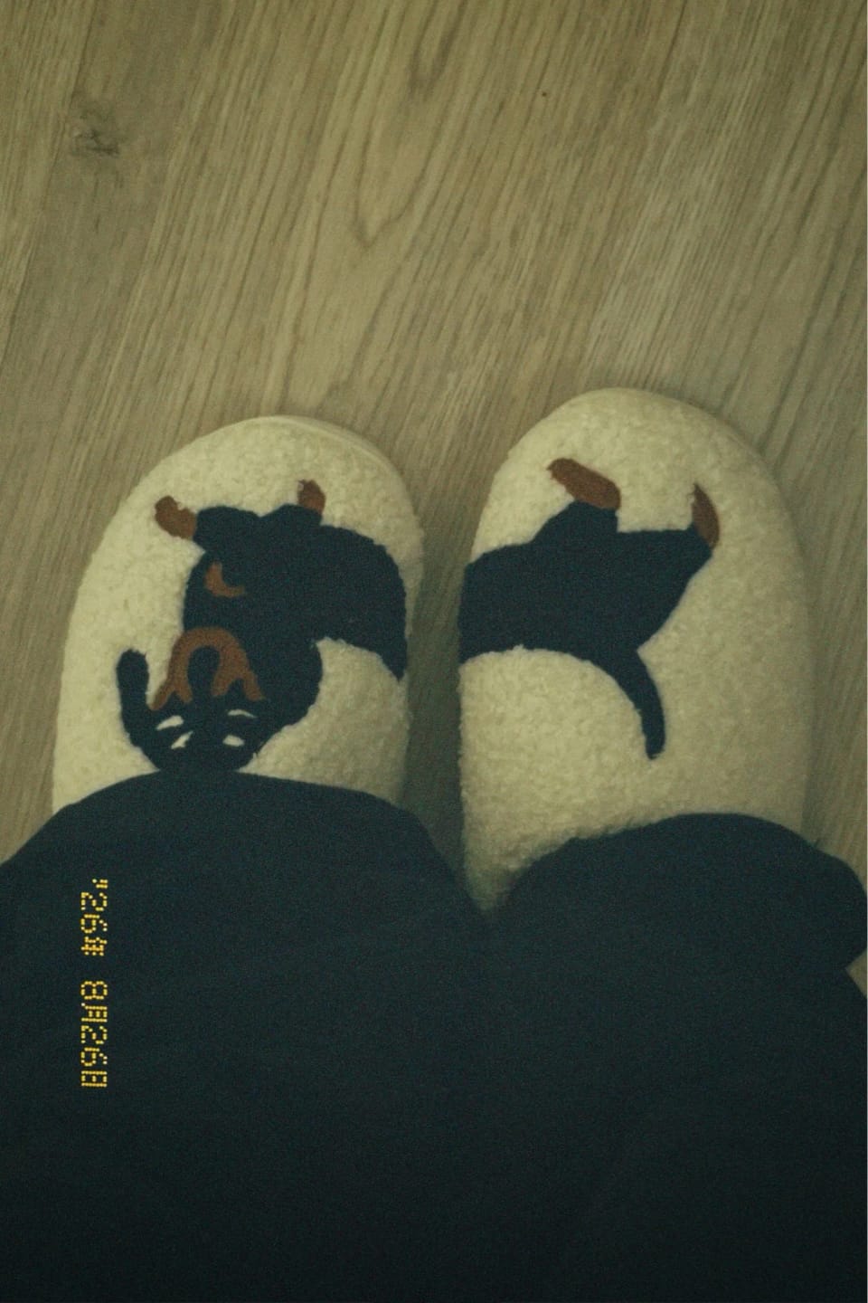 Customer photo review of Women's Dachshund Plush House Slippers, Warm Indoor Slides