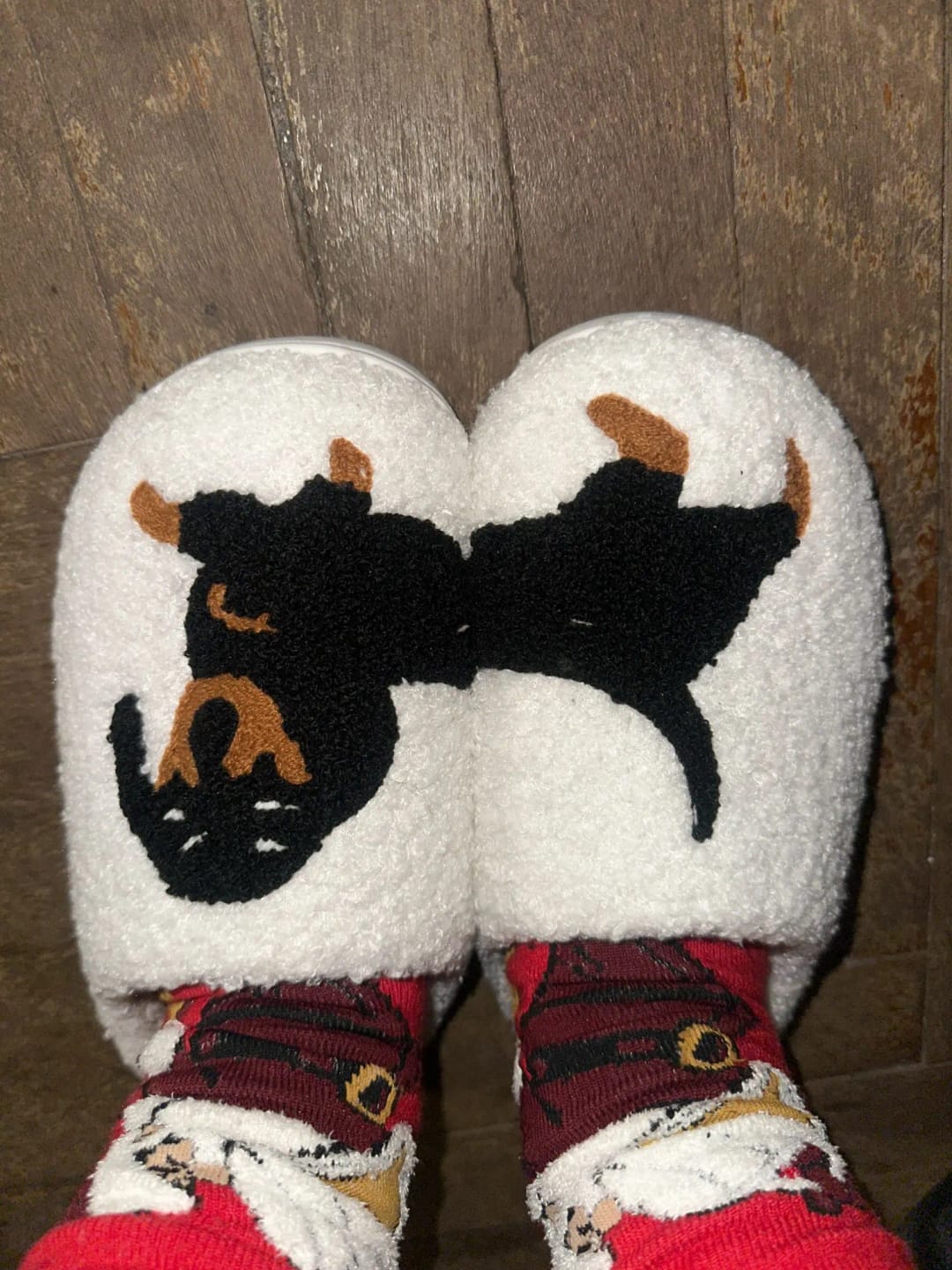 Customer photo review of Women's Dachshund Plush House Slippers, Warm Indoor Slides