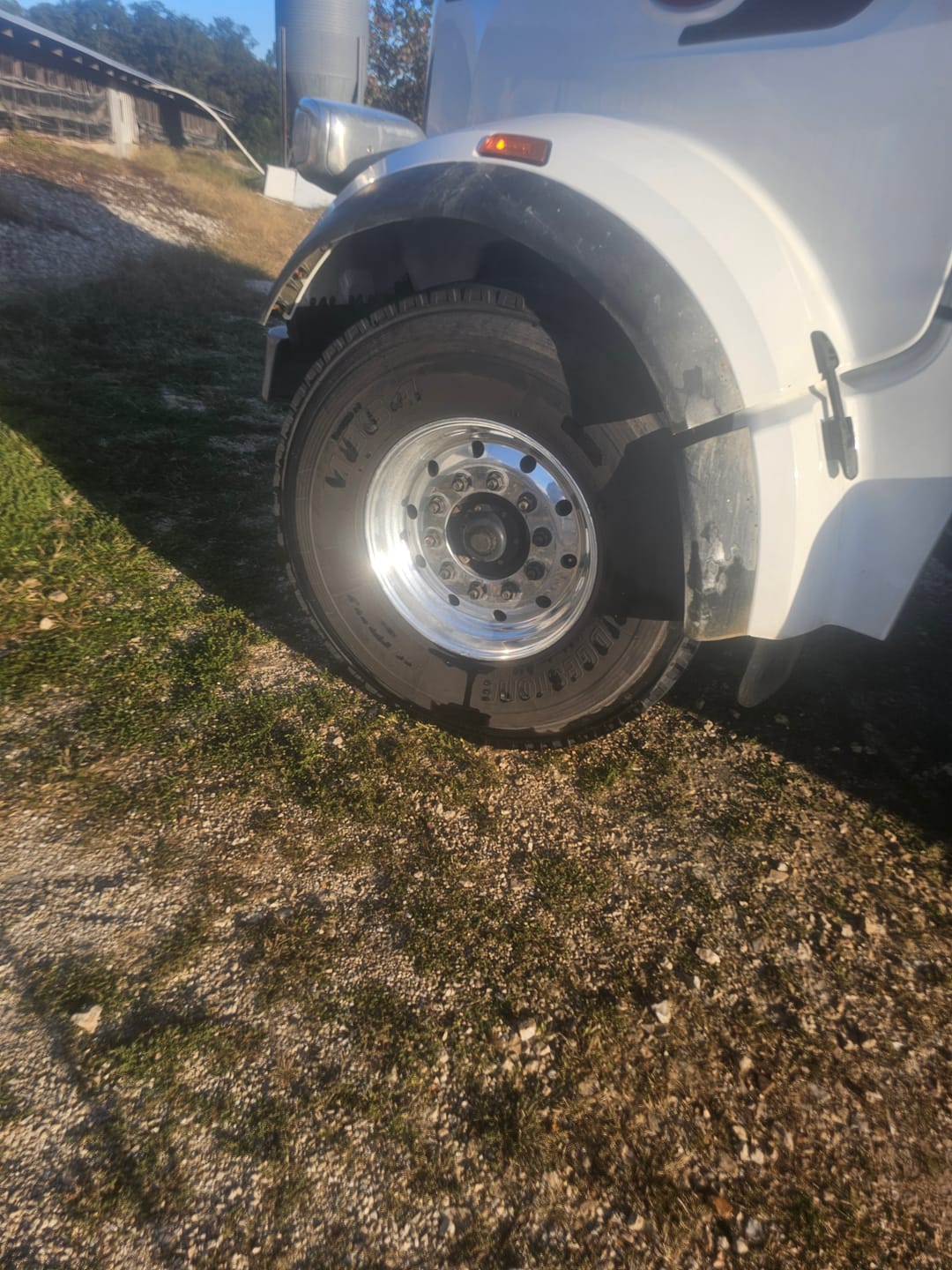 Customer photo review of Absolute