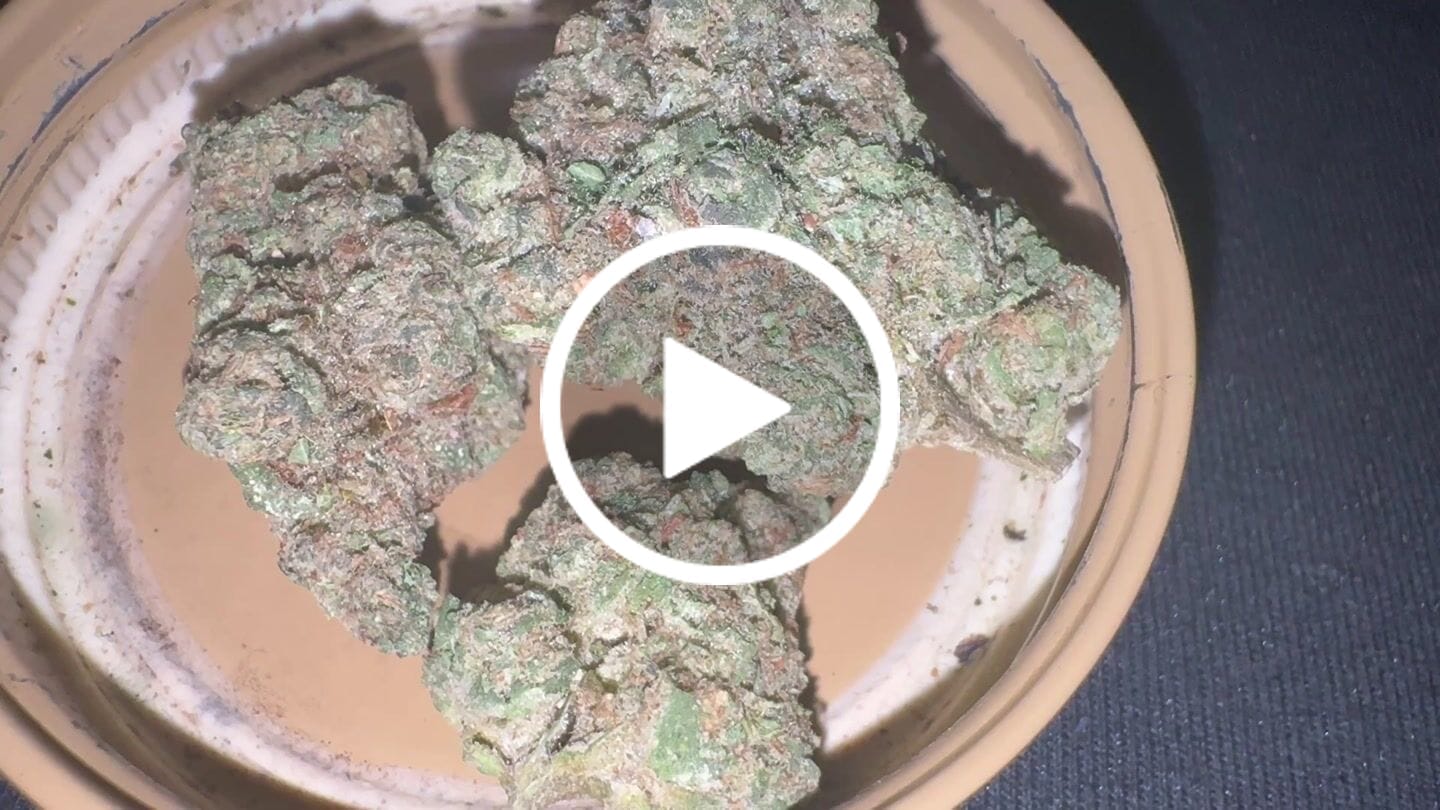 Customer video review of Khalifa Kush THCA Flower