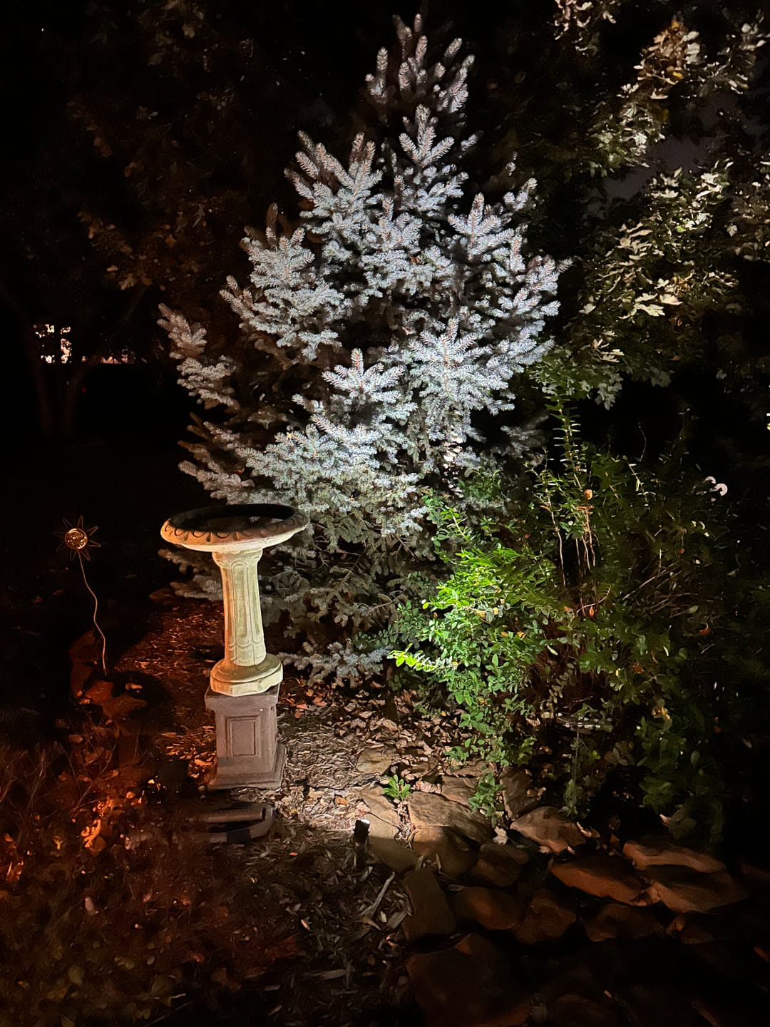 Customer photo review of TSUN Solar Spotlights Outdoor Garden Lights