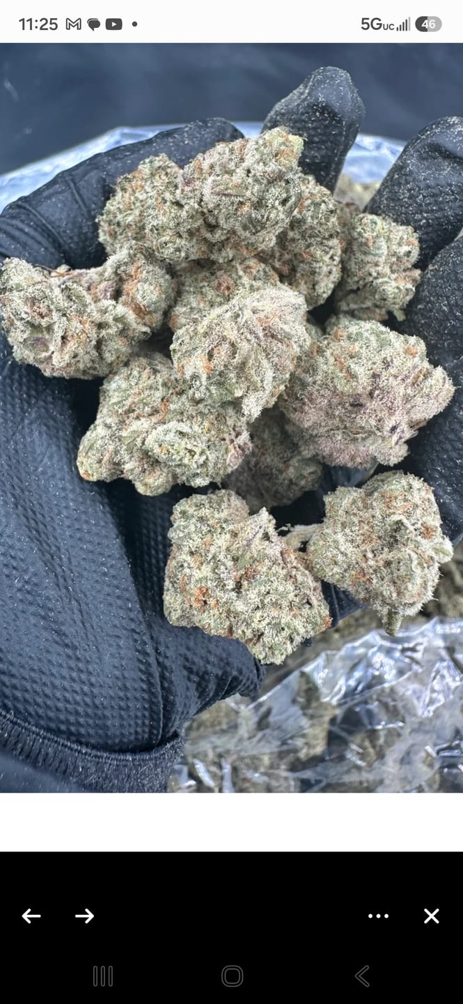 Customer photo review of Runtz THCA Flower (Budget)
