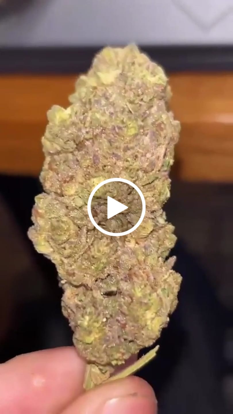 Customer video review of Cheap THCA Flower Pound