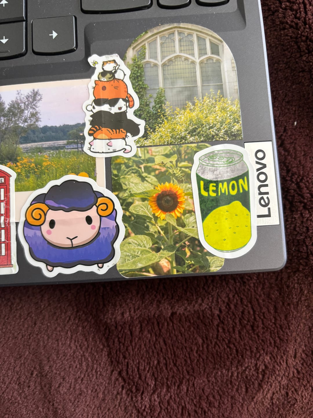Customer photo review of Golden Sunflower Sticker