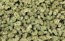 Customer photo review of Light Assist THCA Smalls
