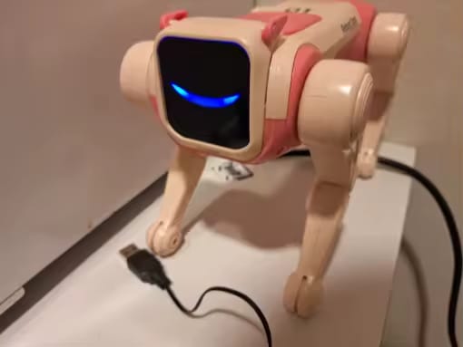 Customer photo review of Chien robot intelligent