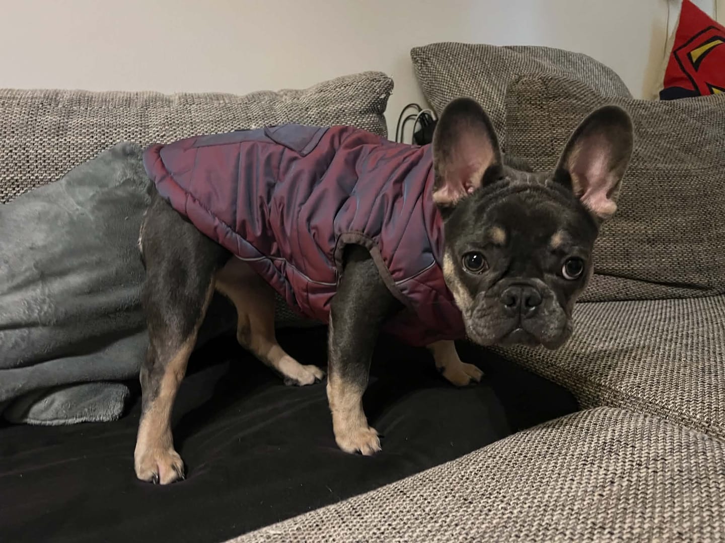 Customer photo review of WarmShield Water-Resistant Jackets