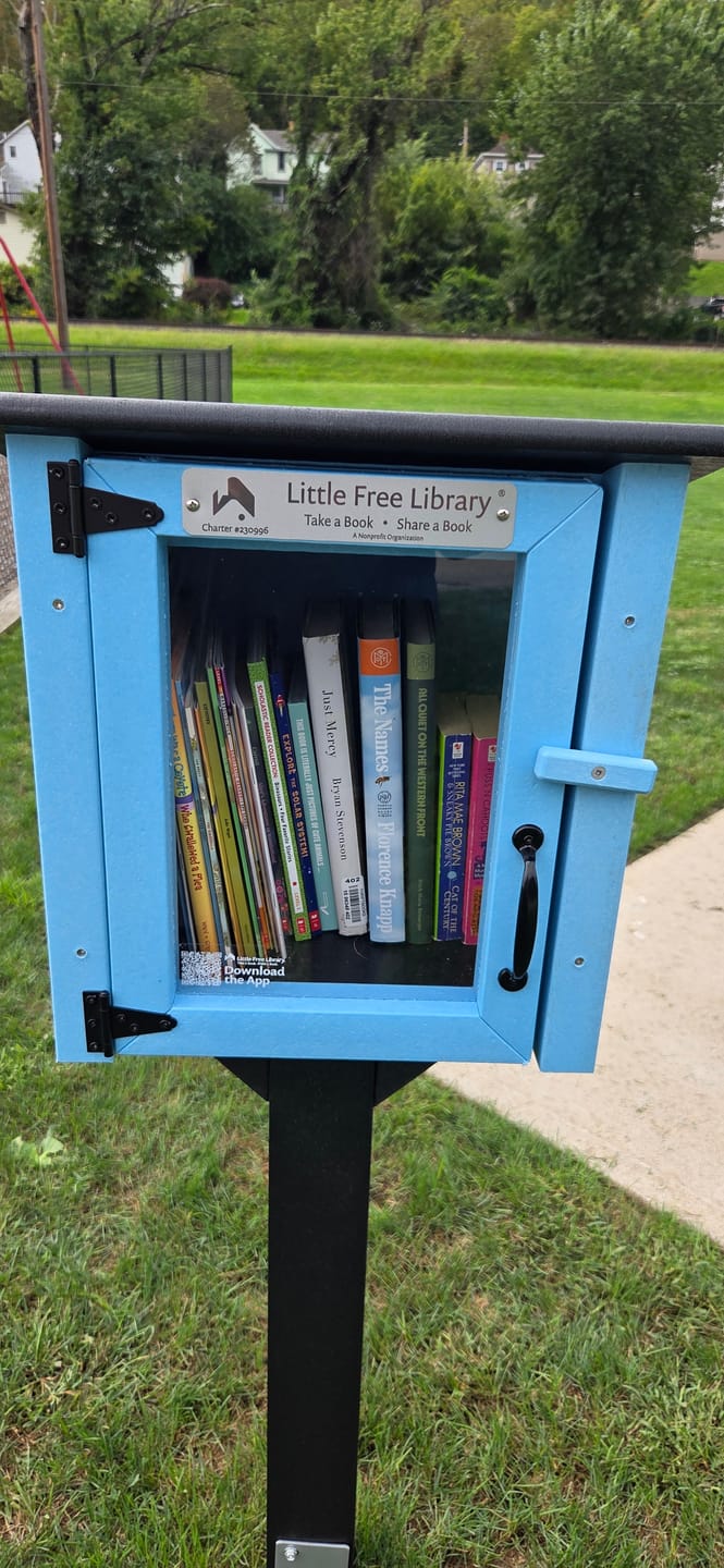 Customer photo review of Composite One Story Light Blue Little Free Library