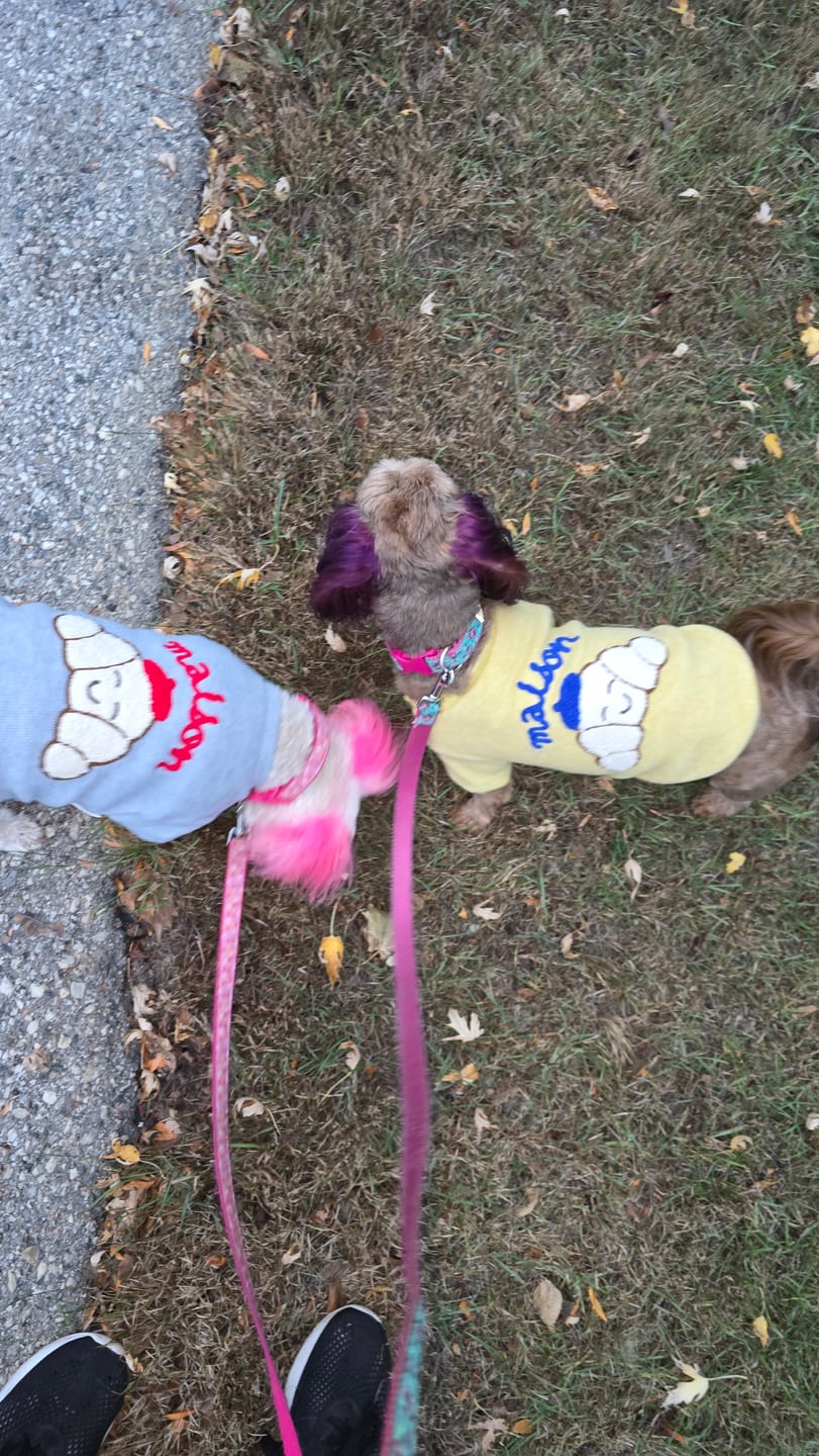 Customer photo review of Mallow Puppy Embroidered Sweatshirt (2 colors)