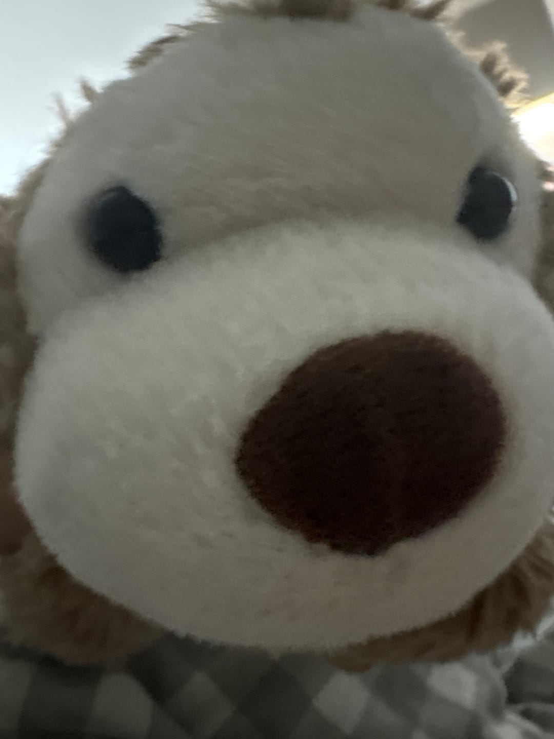 Customer photo review of Dimi Monkey