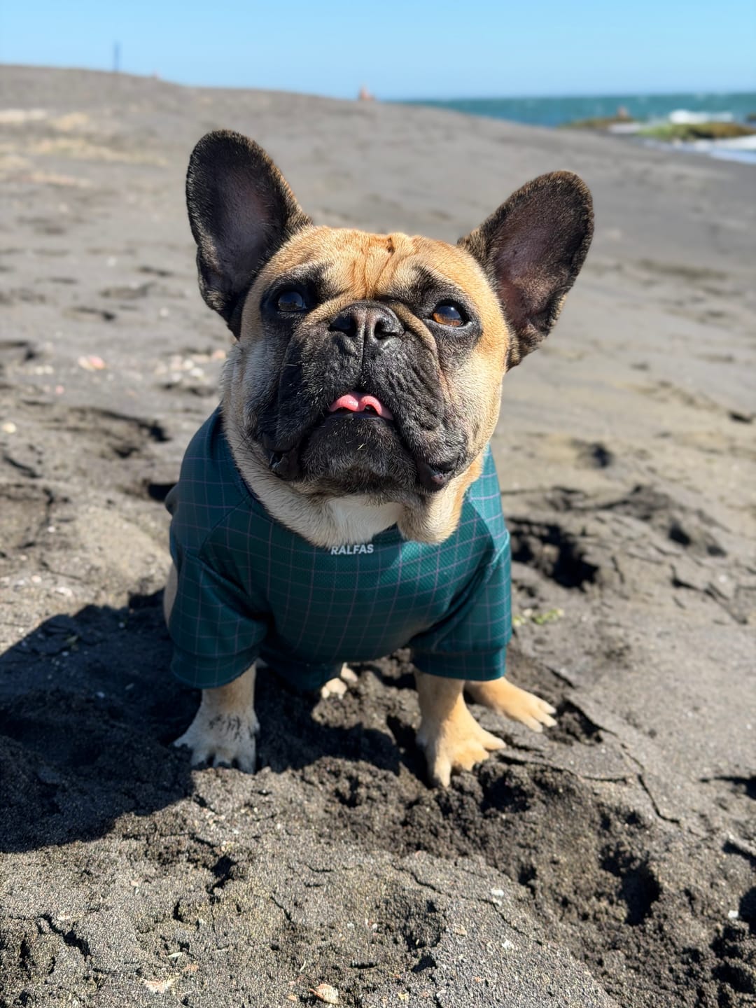 Customer photo review of Polera de Enfriamiento Verde