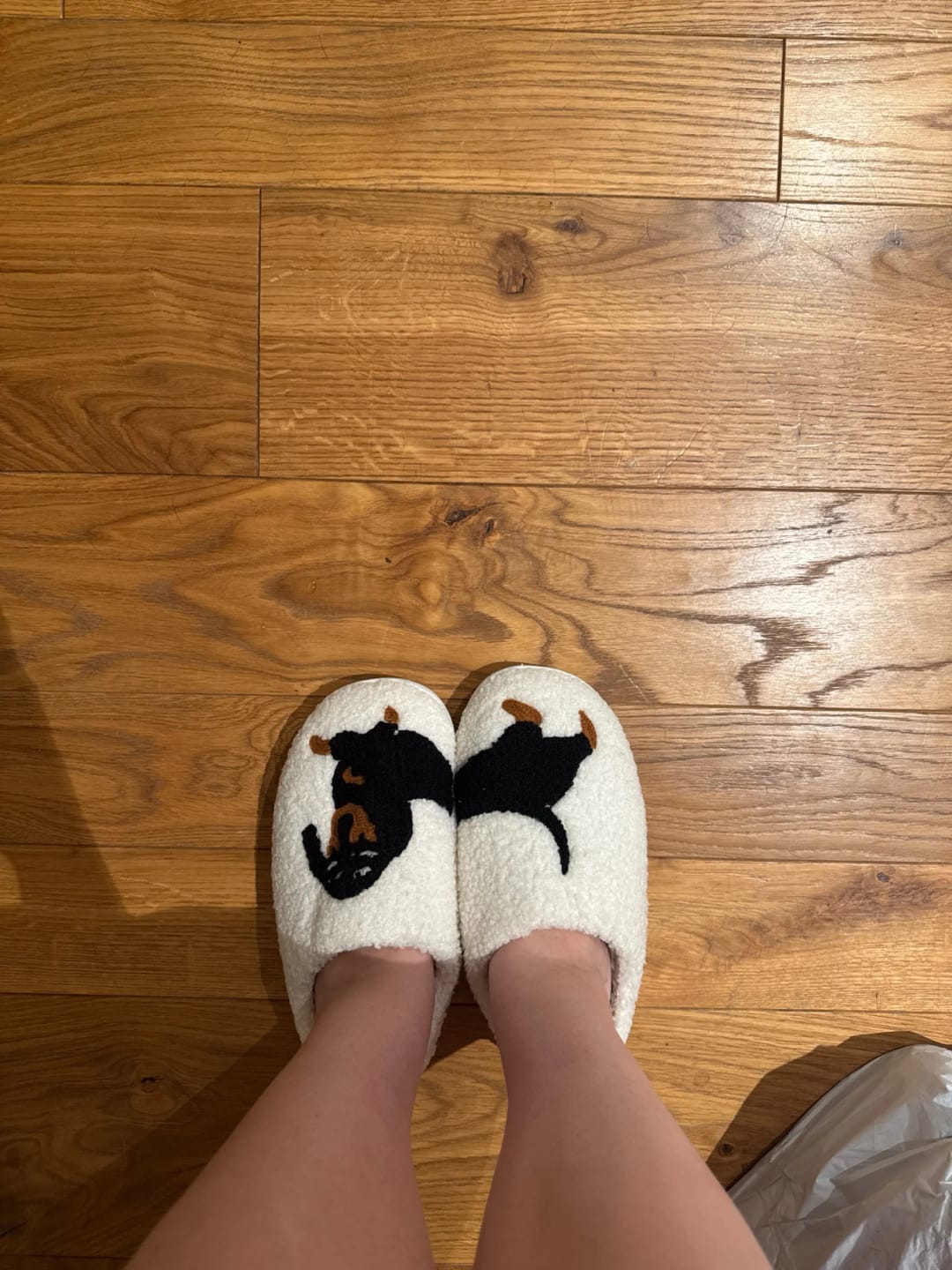Customer photo review of Women's Dachshund Plush House Slippers, Warm Indoor Slides