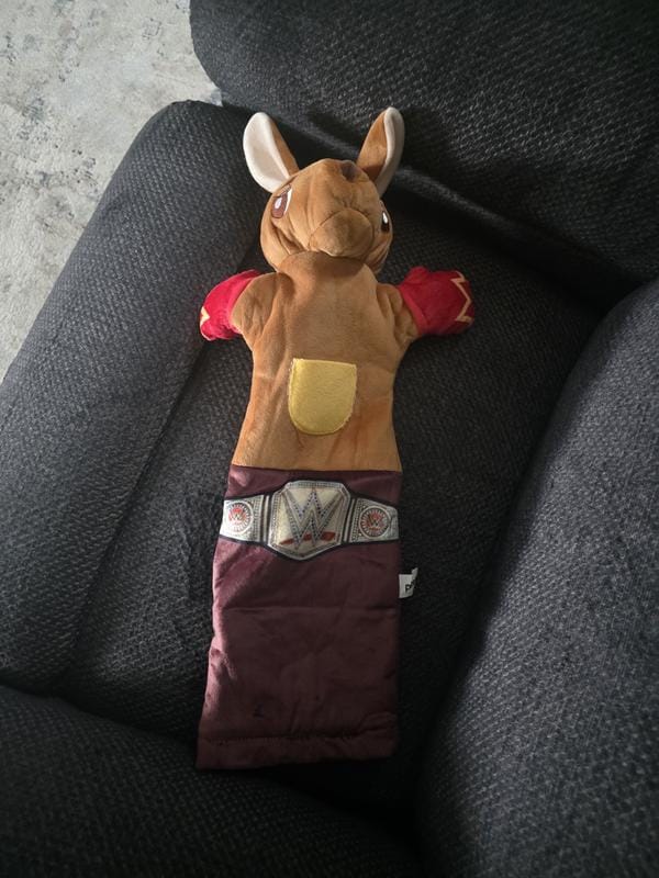 Customer photo review of Boxing Buddies Cat Toy