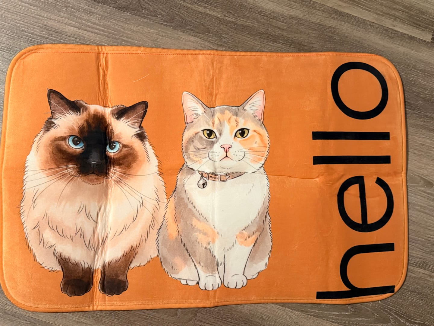 Customer photo review of Custom Photo Realistic Watercolor Art Hello Welcome Lovely Pet Portrait - Personalized Doormat