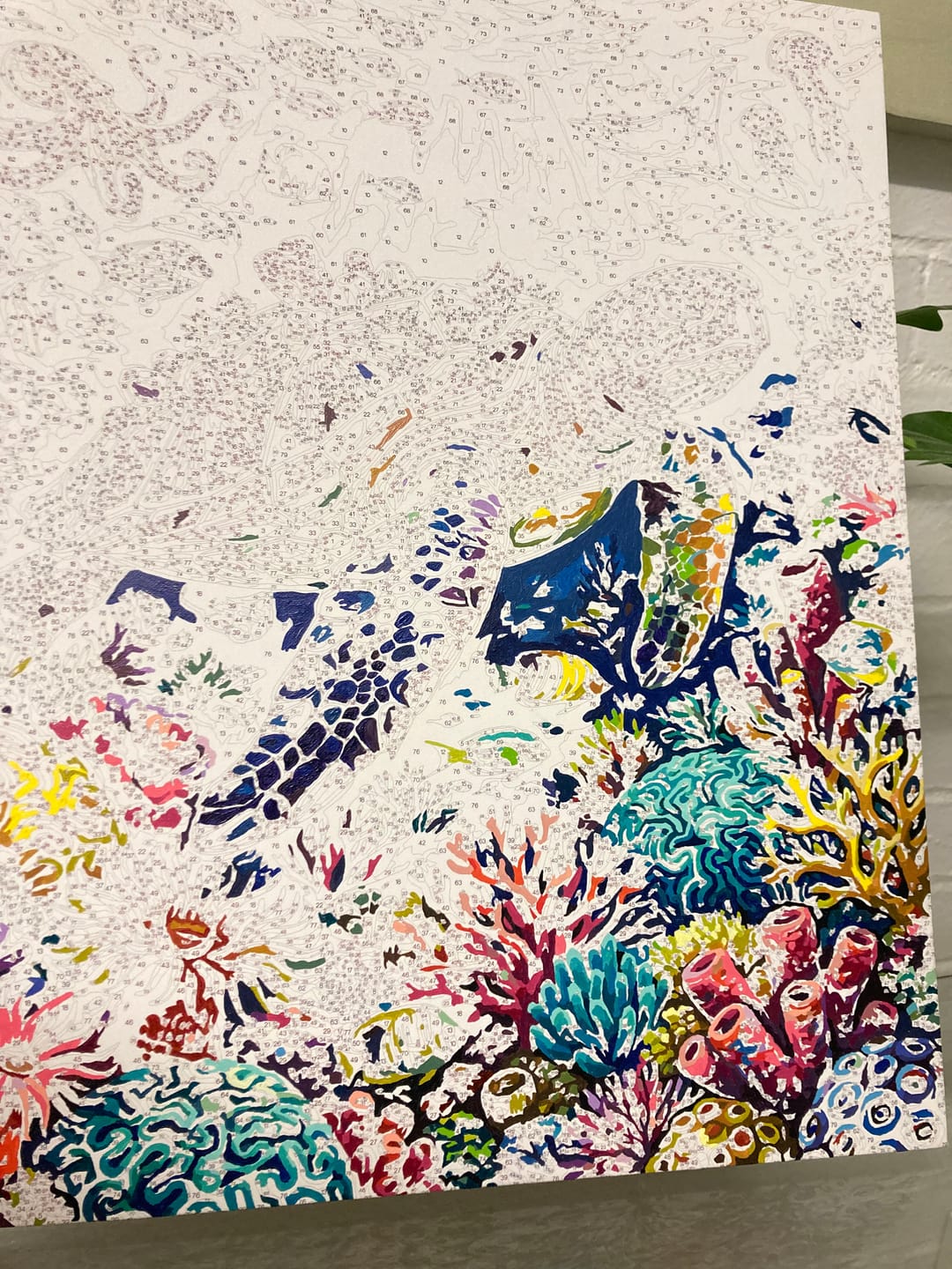 Customer photo review of Ocean Reef Turtle (80 Colors)