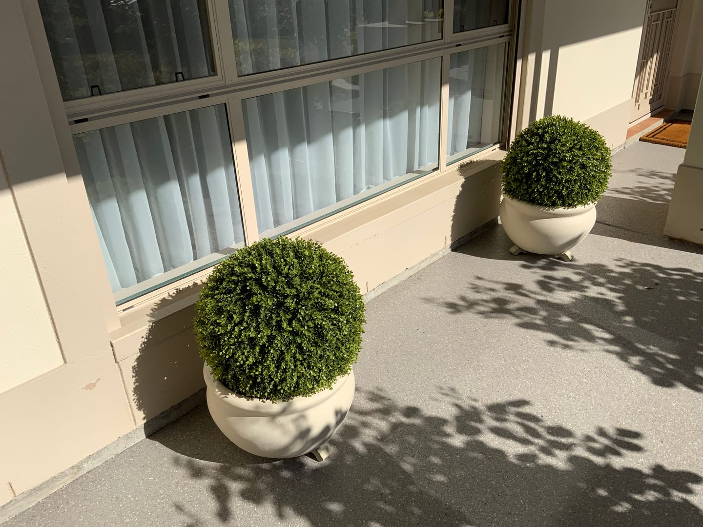 Customer photo review of Large Artificial Topiary Ball Natural Buxus 44cm UV Resistant
