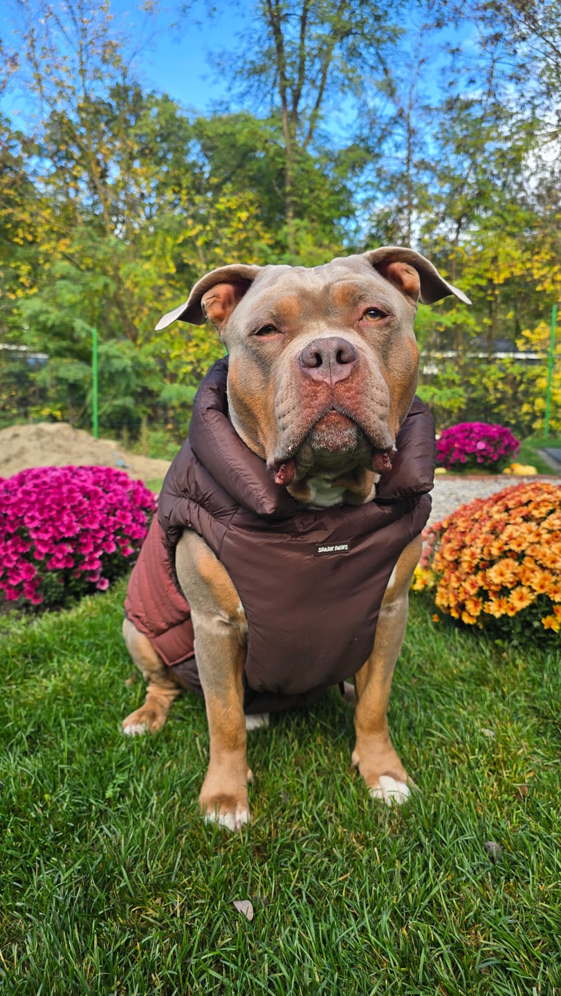 Customer photo review of PuffShield Winter Jacket - Brown (2)