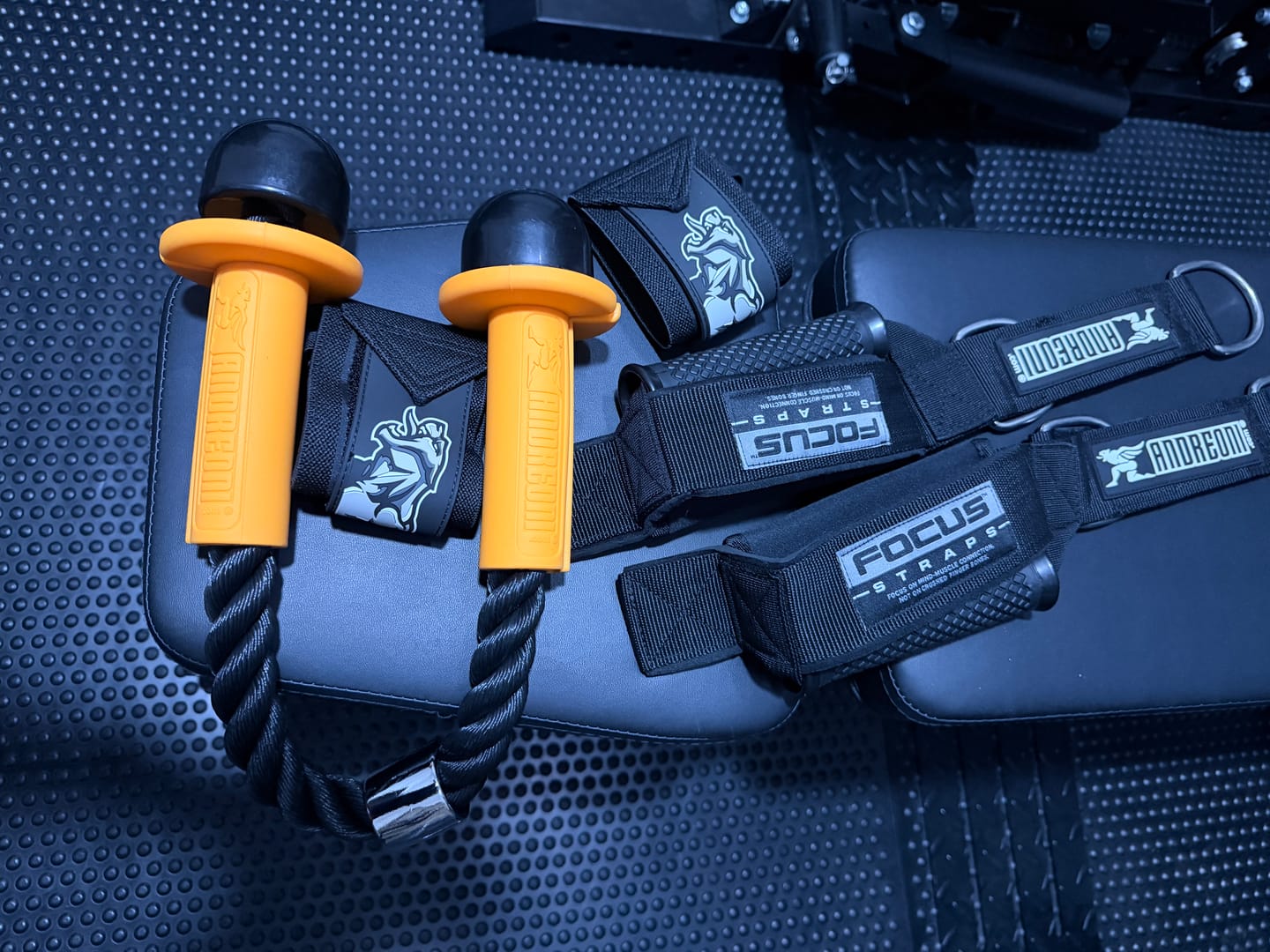 Customer photo review of ANDREONI FOCUS STRAPS ™ - Rope Attachment Alternative for Triceps, Face Pulls and Cable Machine Workouts.