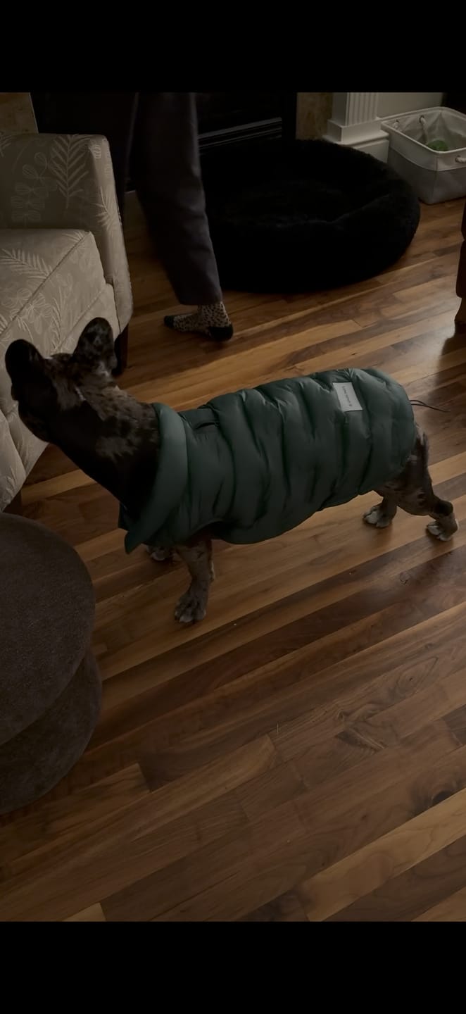 Customer photo review of ThermoSonic Winter Jacket - Green