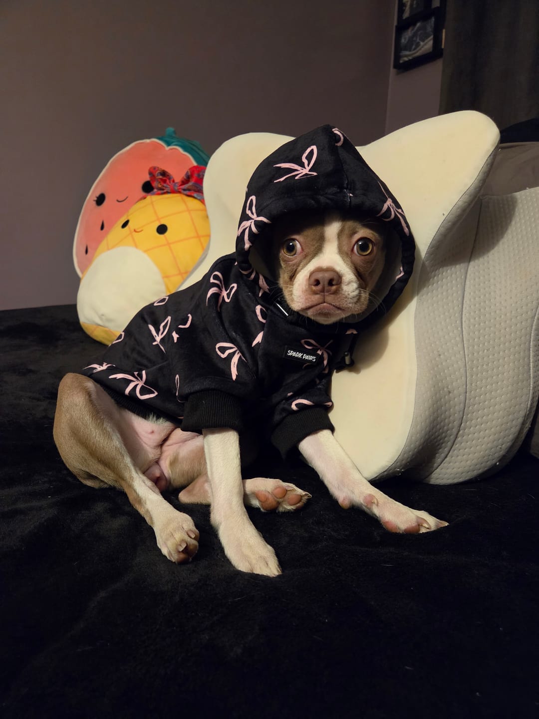 Customer photo review of Teddy Sherpa Dog Jackets