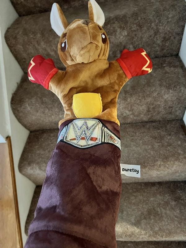 Customer photo review of Boxing Buddies Cat Toy