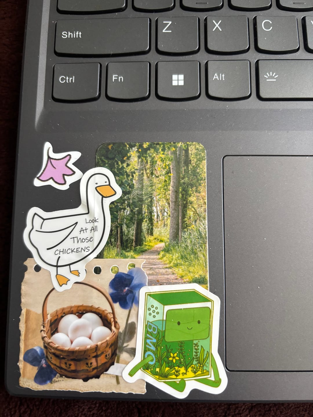 Customer photo review of Enchanted Woodlands Sticker